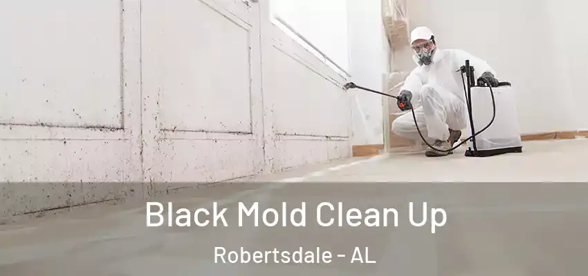 Black Mold Clean Up Robertsdale - AL