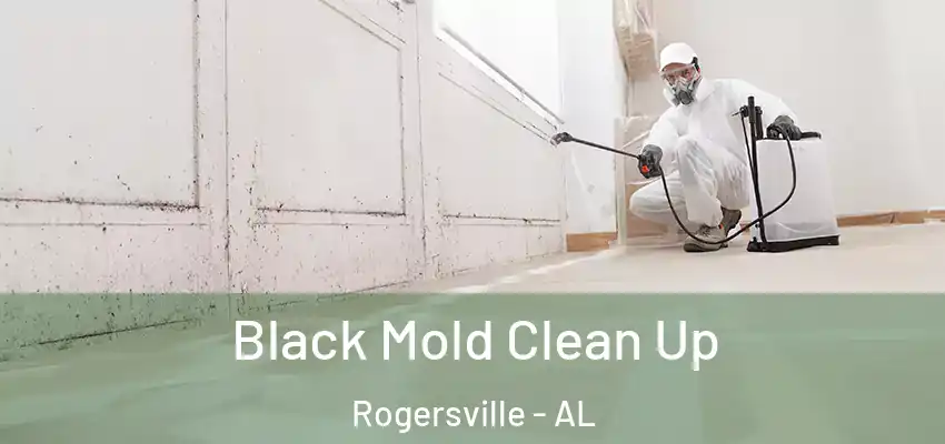  Black Mold Clean Up Rogersville - AL