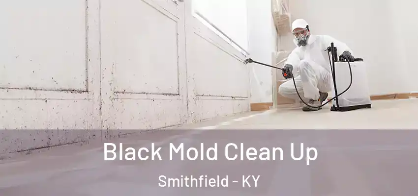  Black Mold Clean Up Smithfield - KY