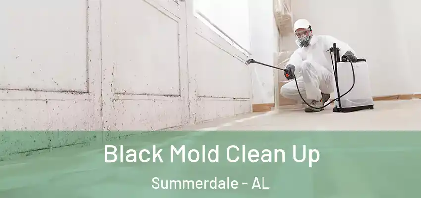 Black Mold Clean Up Summerdale - AL