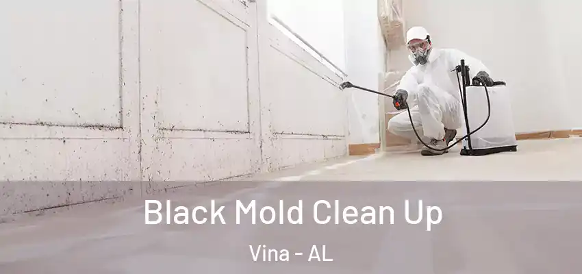  Black Mold Clean Up Vina - AL