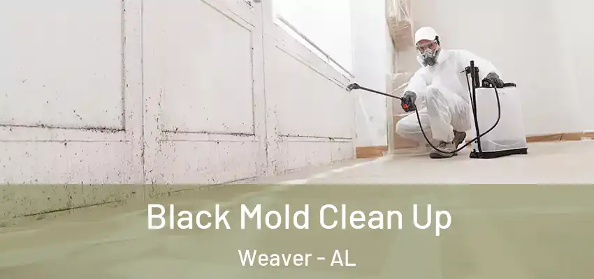  Black Mold Clean Up Weaver - AL