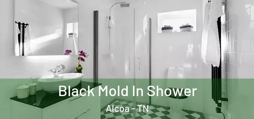 Black Mold In Shower Alcoa - TN