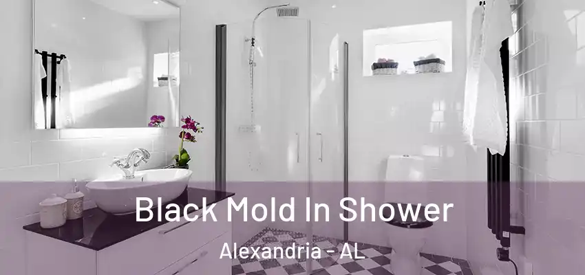 Black Mold In Shower Alexandria - AL