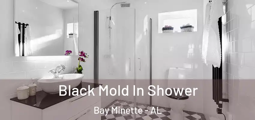  Black Mold In Shower Bay Minette - AL