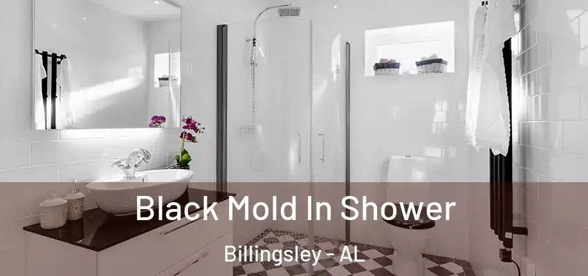 Black Mold In Shower Billingsley - AL