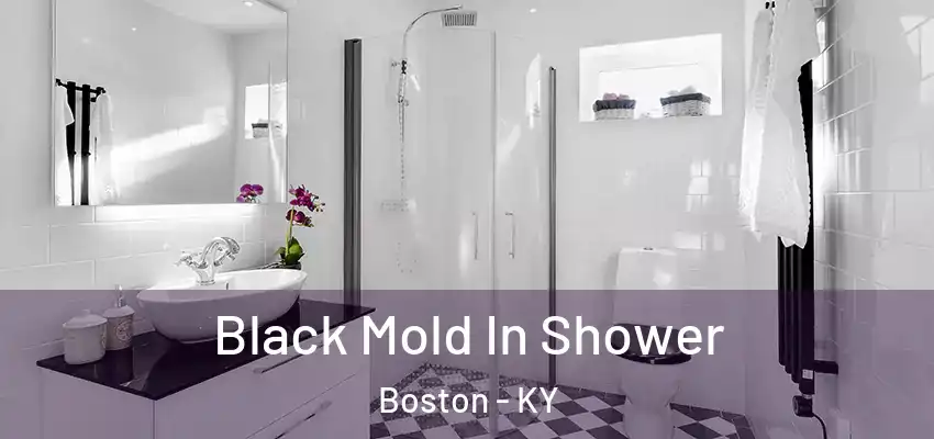 Black Mold In Shower Boston - KY