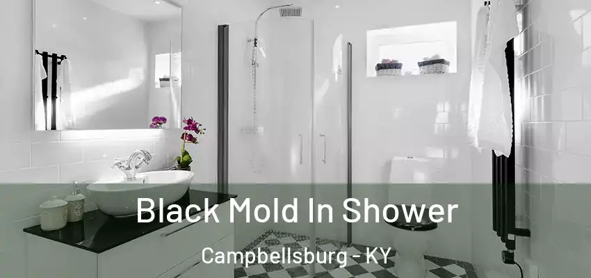 Black Mold In Shower Campbellsburg - KY