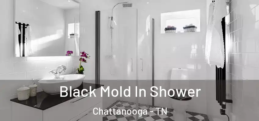 Black Mold In Shower Chattanooga - TN