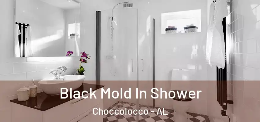  Black Mold In Shower Choccolocco - AL