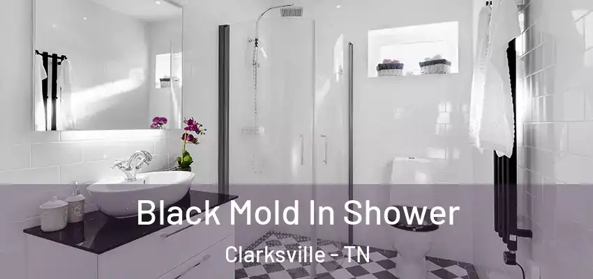 Black Mold In Shower Clarksville - TN
