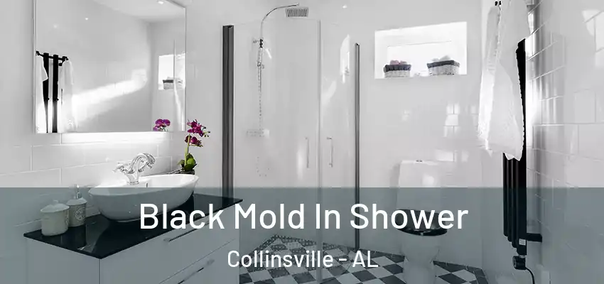 Black Mold In Shower Collinsville - AL