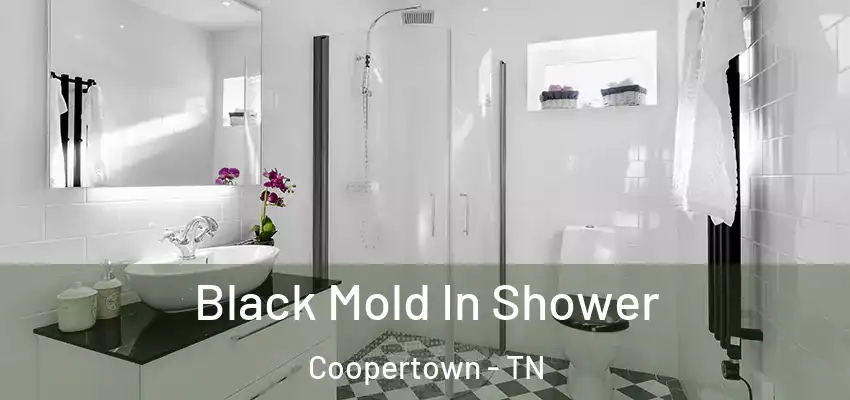 Black Mold In Shower Coopertown - TN