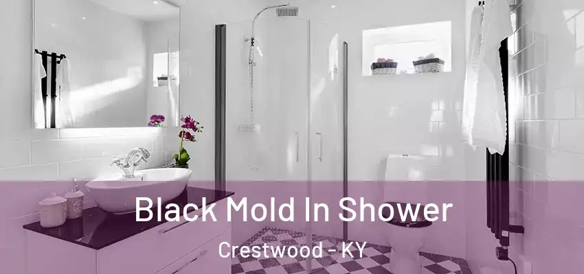 Black Mold In Shower Crestwood - KY
