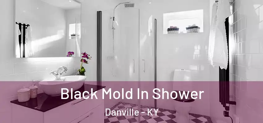 Black Mold In Shower Danville - KY