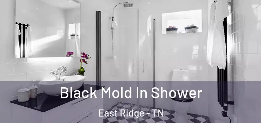  Black Mold In Shower East Ridge - TN