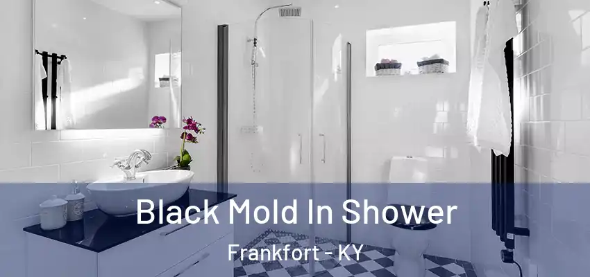 Black Mold In Shower Frankfort - KY