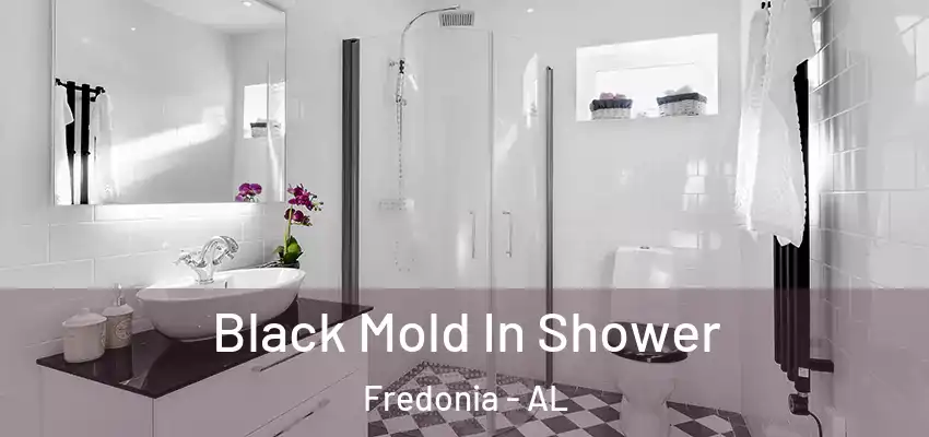 Black Mold In Shower Fredonia - AL