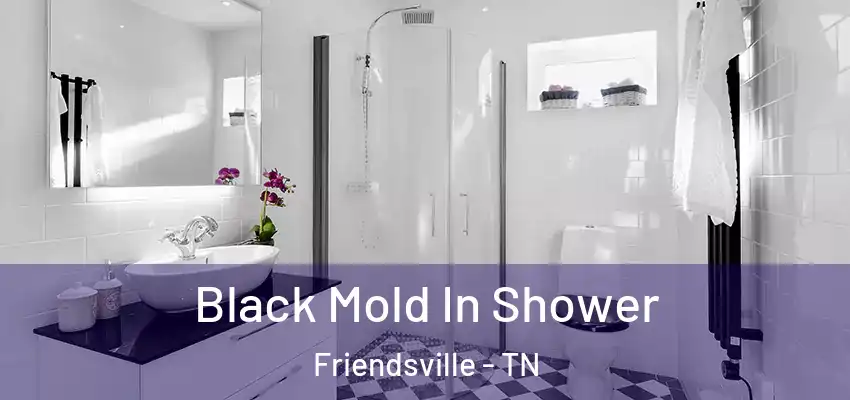  Black Mold In Shower Friendsville - TN