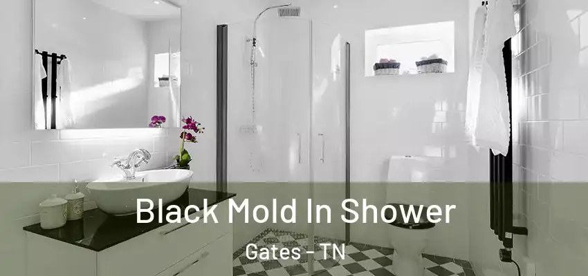  Black Mold In Shower Gates - TN