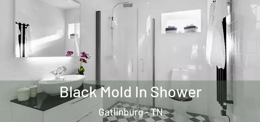  Black Mold In Shower Gatlinburg - TN