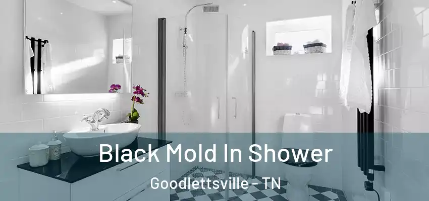 Black Mold In Shower Goodlettsville - TN