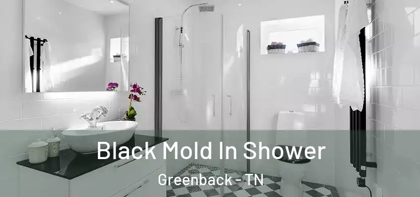  Black Mold In Shower Greenback - TN