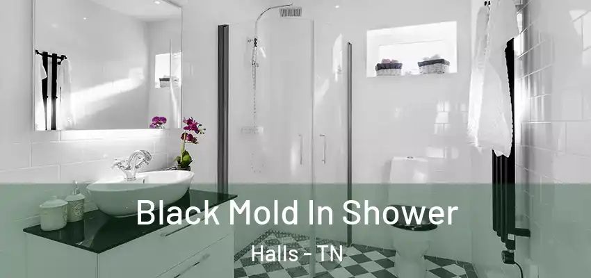 Black Mold In Shower Halls - TN
