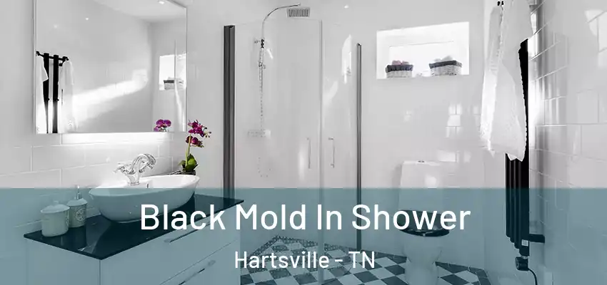  Black Mold In Shower Hartsville - TN