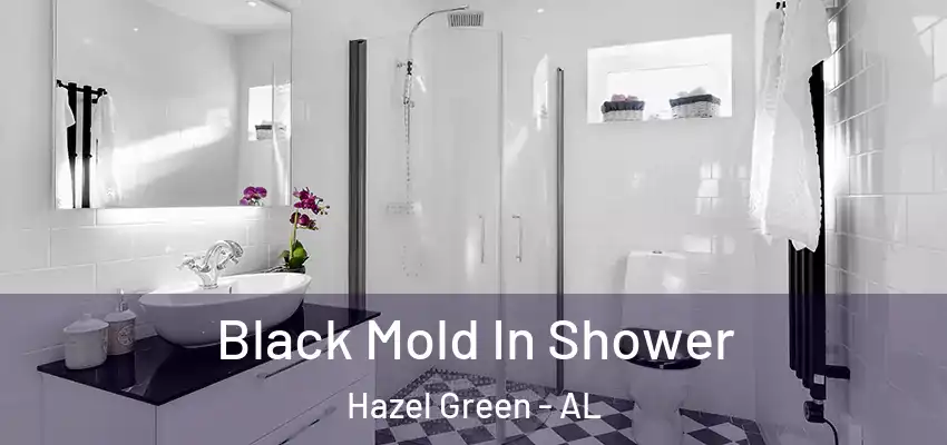 Black Mold In Shower Hazel Green - AL