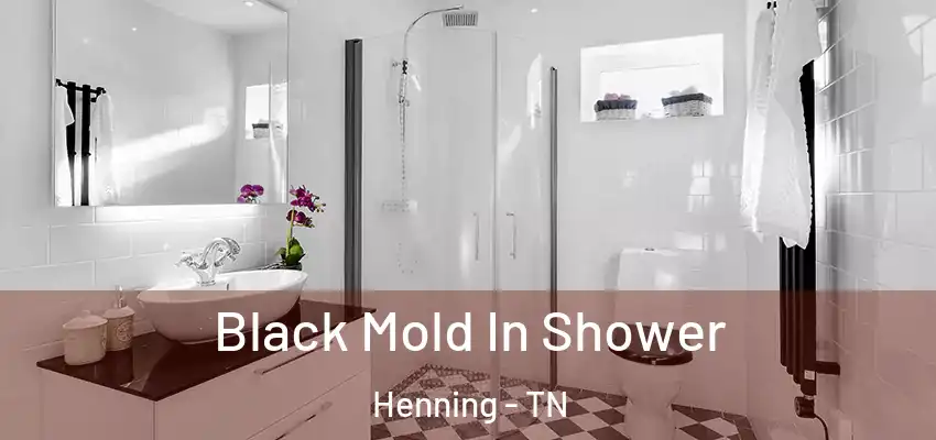 Black Mold In Shower Henning - TN
