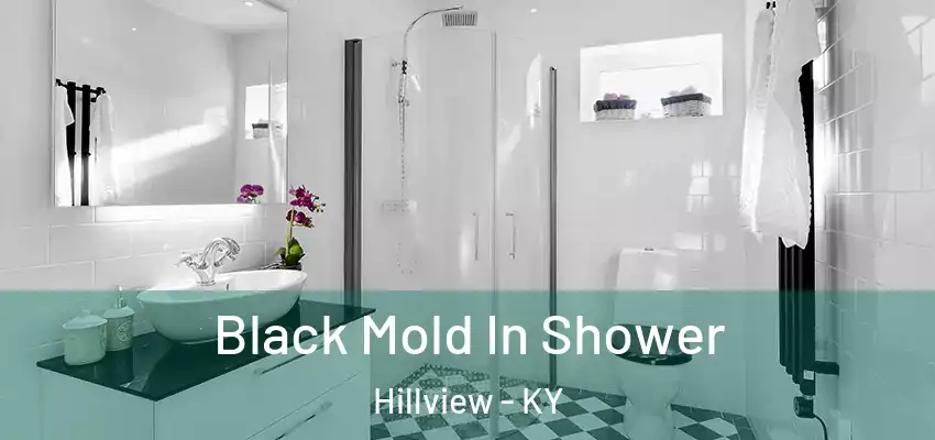  Black Mold In Shower Hillview - KY