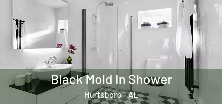 Black Mold In Shower Hurtsboro - AL