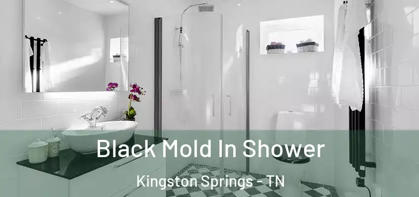 Black Mold In Shower Kingston Springs - TN