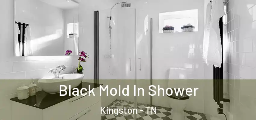 Black Mold In Shower Kingston - TN