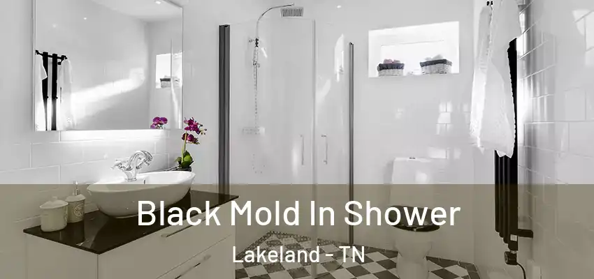 Black Mold In Shower Lakeland - TN