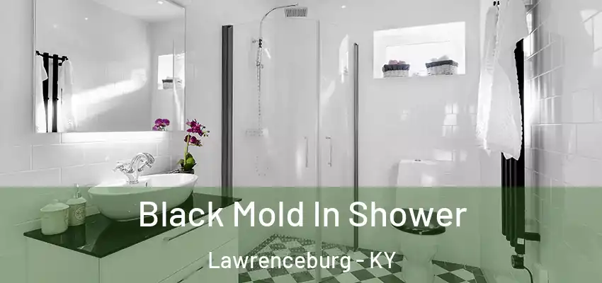 Black Mold In Shower Lawrenceburg - KY