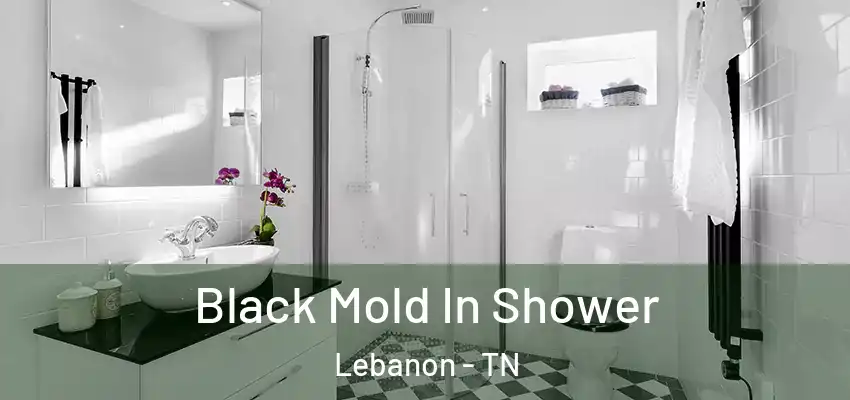 Black Mold In Shower Lebanon - TN