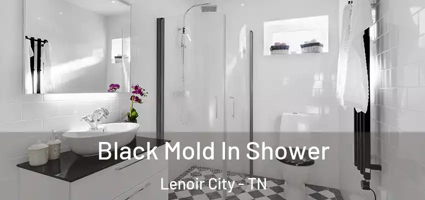  Black Mold In Shower Lenoir City - TN
