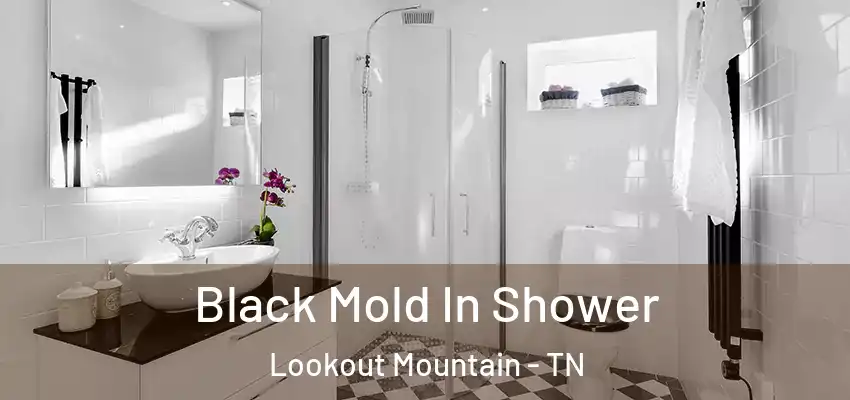 Black Mold In Shower Lookout Mountain - TN