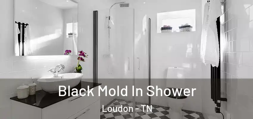 Black Mold In Shower Loudon - TN