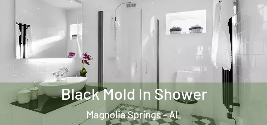 Black Mold In Shower Magnolia Springs - AL