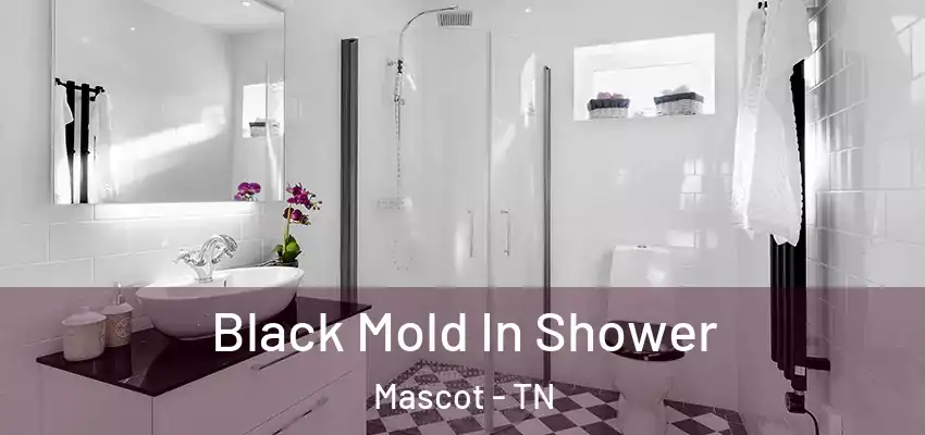 Black Mold In Shower Mascot - TN