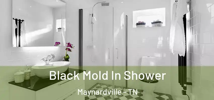 Black Mold In Shower Maynardville - TN