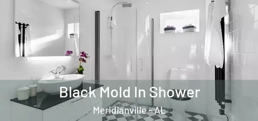  Black Mold In Shower Meridianville - AL