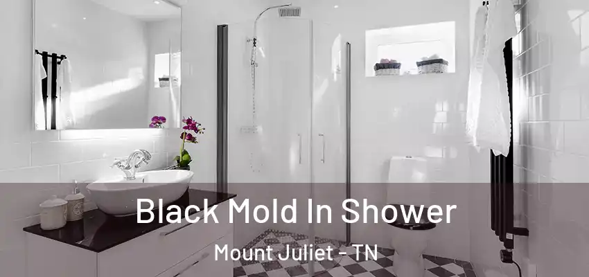 Black Mold In Shower Mount Juliet - TN