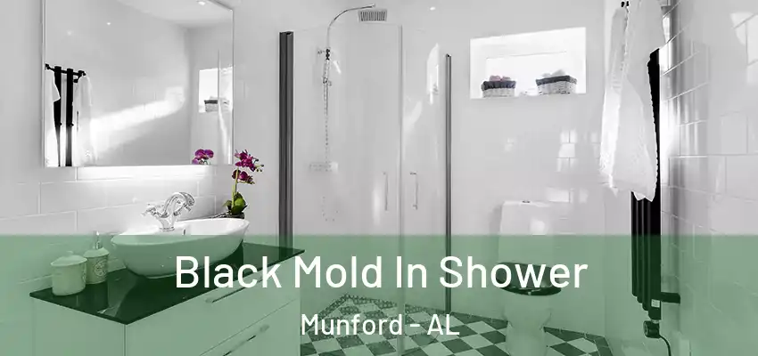 Black Mold In Shower Munford - AL