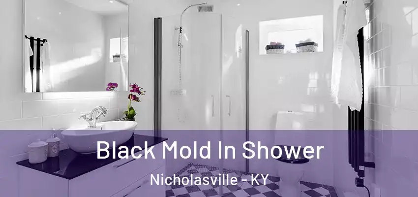 Black Mold In Shower Nicholasville - KY