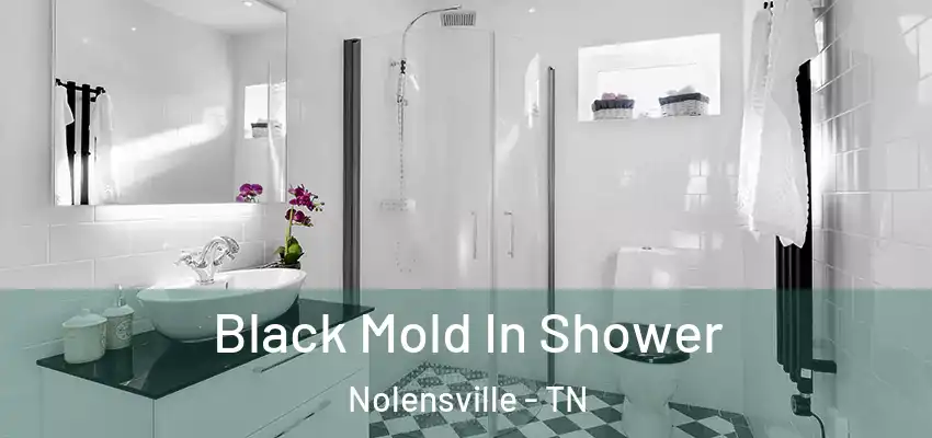  Black Mold In Shower Nolensville - TN