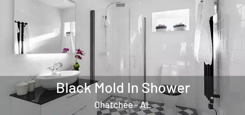  Black Mold In Shower Ohatchee - AL